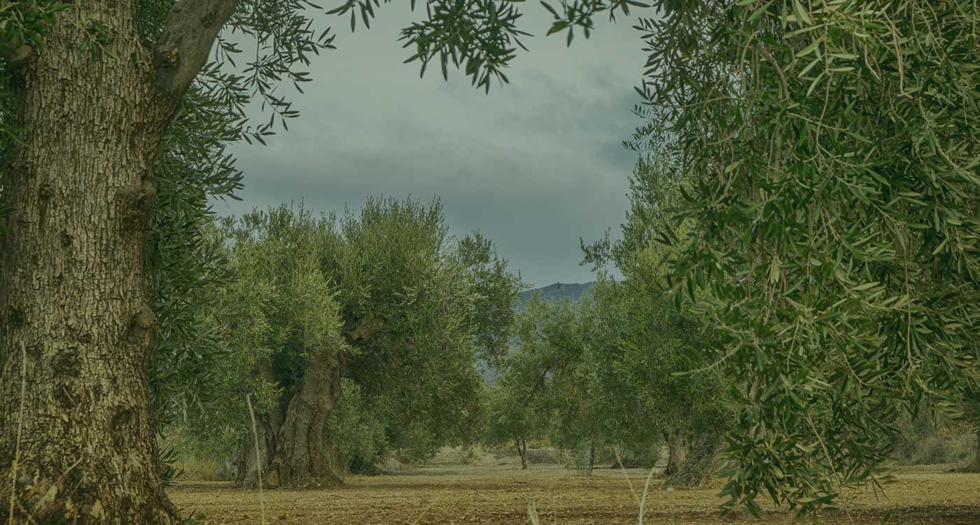Damla Damla Sağlık